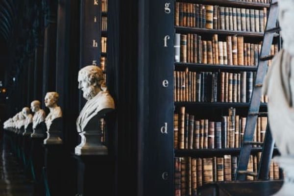 12 “Best” WordPress Plugins (Free & Paid)